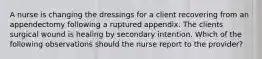 A nurse is changing the dressings for a client recovering from an appendectomy following a ruptured appendix. The clients surgical wound is healing by secondary intention. Which of the following observations should the nurse report to the provider?