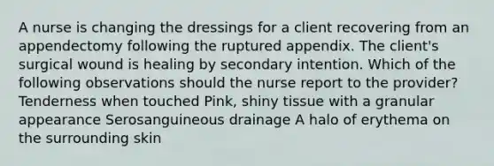 A nurse is changing the dressings for a client recovering from an appendectomy following the ruptured appendix. The client's surgical wound is healing by secondary intention. Which of the following observations should the nurse report to the provider? Tenderness when touched Pink, shiny tissue with a granular appearance Serosanguineous drainage A halo of erythema on the surrounding skin