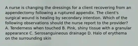 A nurse is changing the dressings for a client recovering from an appendectomy following a ruptured appendix. The client's surgical wound is healing by secondary intention. Which of the following observations should the nurse report to the provider? A. Tenderness when touched B. Pink, shiny tissue with a granular appearance C. Serosanguineous drainage D. Halo of erythema on the surrounding skin