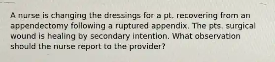 A nurse is changing the dressings for a pt. recovering from an appendectomy following a ruptured appendix. The pts. surgical wound is healing by secondary intention. What observation should the nurse report to the provider?