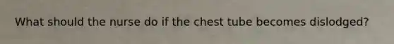 What should the nurse do if the chest tube becomes dislodged?