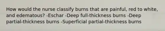 How would the nurse classify burns that are painful, red to white, and edematous? -Eschar -Deep full-thickness burns -Deep partial-thickness burns -Superficial partial-thickness burns