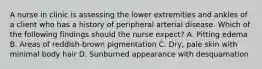 A nurse in clinic is assessing the lower extremities and ankles of a client who has a history of peripheral arterial disease. Which of the following findings should the nurse expect? A. Pitting edema B. Areas of reddish-brown pigmentation C. Dry, pale skin with minimal body hair D. Sunburned appearance with desquamation