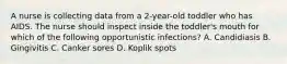 A nurse is collecting data from a 2-year-old toddler who has AIDS. The nurse should inspect inside the toddler's mouth for which of the following opportunistic infections? A. Candidiasis B. Gingivitis C. Canker sores D. Koplik spots