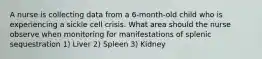 A nurse is collecting data from a 6-month-old child who is experiencing a sickle cell crisis. What area should the nurse observe when monitoring for manifestations of splenic sequestration 1) Liver 2) Spleen 3) Kidney