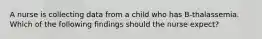 A nurse is collecting data from a child who has B-thalassemia. Which of the following findings should the nurse expect?