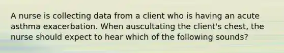 A nurse is collecting data from a client who is having an acute asthma exacerbation. When auscultating the client's chest, the nurse should expect to hear which of the following sounds?