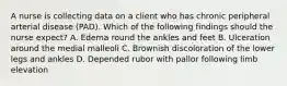 A nurse is collecting data on a client who has chronic peripheral arterial disease (PAD). Which of the following findings should the nurse expect? A. Edema round the ankles and feet B. Ulceration around the medial malleoli C. Brownish discoloration of the lower legs and ankles D. Depended rubor with pallor following limb elevation