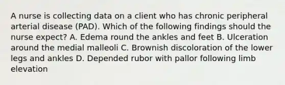 A nurse is collecting data on a client who has chronic peripheral arterial disease (PAD). Which of the following findings should the nurse expect? A. Edema round the ankles and feet B. Ulceration around the medial malleoli C. Brownish discoloration of the lower legs and ankles D. Depended rubor with pallor following limb elevation