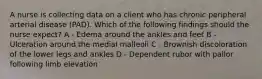 A nurse is collecting data on a client who has chronic peripheral arterial disease (PAD). Which of the following findings should the nurse expect? A - Edema around the ankles and feet B - Ulceration around the medial malleoli C - Brownish discoloration of the lower legs and ankles D - Dependent rubor with pallor following limb elevation