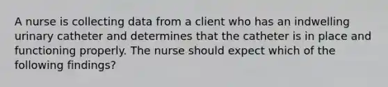 A nurse is collecting data from a client who has an indwelling urinary catheter and determines that the catheter is in place and functioning properly. The nurse should expect which of the following findings?