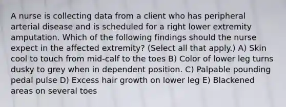 A nurse is collecting data from a client who has peripheral arterial disease and is scheduled for a right lower extremity amputation. Which of the following findings should the nurse expect in the affected extremity? (Select all that apply.) A) Skin cool to touch from mid-calf to the toes B) Color of lower leg turns dusky to grey when in dependent position. C) Palpable pounding pedal pulse D) Excess hair growth on lower leg E) Blackened areas on several toes