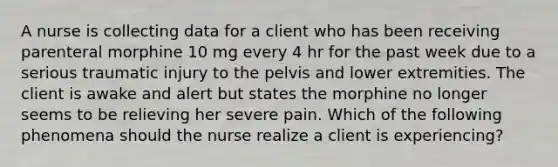 A nurse is collecting data for a client who has been receiving parenteral morphine 10 mg every 4 hr for the past week due to a serious traumatic injury to the pelvis and lower extremities. The client is awake and alert but states the morphine no longer seems to be relieving her severe pain. Which of the following phenomena should the nurse realize a client is experiencing?