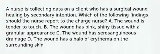 A nurse is collecting data on a client who has a surgical wound healing by secondary intention. Which of the following findings should the nurse report to the charge nurse? A. The wound is tender to touch. B. The wound has pink, shiny tissue with a granular apprearance C. The wound has serosanguineous drainage D. The wound has a halo of erythema on the surrounding skin