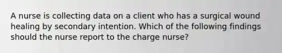 A nurse is collecting data on a client who has a surgical wound healing by secondary intention. Which of the following findings should the nurse report to the charge nurse?