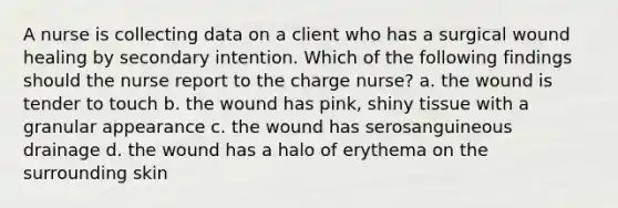 A nurse is collecting data on a client who has a surgical wound healing by secondary intention. Which of the following findings should the nurse report to the charge nurse? a. the wound is tender to touch b. the wound has pink, shiny tissue with a granular appearance c. the wound has serosanguineous drainage d. the wound has a halo of erythema on the surrounding skin