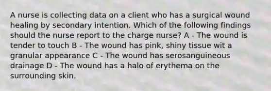 A nurse is collecting data on a client who has a surgical wound healing by secondary intention. Which of the following findings should the nurse report to the charge nurse? A - The wound is tender to touch B - The wound has pink, shiny tissue wit a granular appearance C - The wound has serosanguineous drainage D - The wound has a halo of erythema on the surrounding skin.