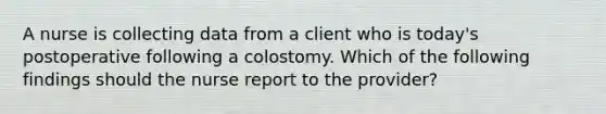 A nurse is collecting data from a client who is today's postoperative following a colostomy. Which of the following findings should the nurse report to the provider?