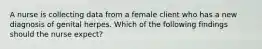 A nurse is collecting data from a female client who has a new diagnosis of genital herpes. Which of the following findings should the nurse expect?