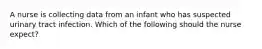 A nurse is collecting data from an infant who has suspected urinary tract infection. Which of the following should the nurse expect?