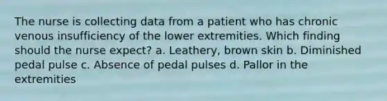 The nurse is collecting data from a patient who has chronic venous insufficiency of the lower extremities. Which finding should the nurse expect? a. Leathery, brown skin b. Diminished pedal pulse c. Absence of pedal pulses d. Pallor in the extremities