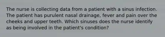 The nurse is collecting data from a patient with a sinus infection. The patient has purulent nasal drainage, fever and pain over the cheeks and upper teeth. Which sinuses does the nurse identify as being involved in the patient's condition?