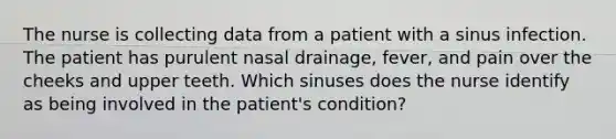 The nurse is collecting data from a patient with a sinus infection. The patient has purulent nasal drainage, fever, and pain over the cheeks and upper teeth. Which sinuses does the nurse identify as being involved in the patient's condition?