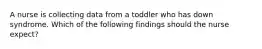 A nurse is collecting data from a toddler who has down syndrome. Which of the following findings should the nurse expect?