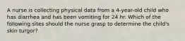 A nurse is collecting physical data from a 4-year-old child who has diarrhea and has been vomiting for 24 hr. Which of the following sites should the nurse grasp to determine the child's skin turgor?