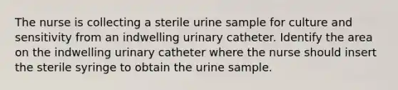 The nurse is collecting a sterile urine sample for culture and sensitivity from an indwelling urinary catheter. Identify the area on the indwelling urinary catheter where the nurse should insert the sterile syringe to obtain the urine sample.