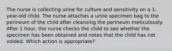 The nurse is collecting urine for culture and sensitivity on a 1-year-old child. The nurse attaches a urine specimen bag to the perineum of the child after cleansing the perineum meticulously. After 1 hour, the nurse checks the child to see whether the specimen has been obtained and notes that the child has not voided. Which action is appropriate?