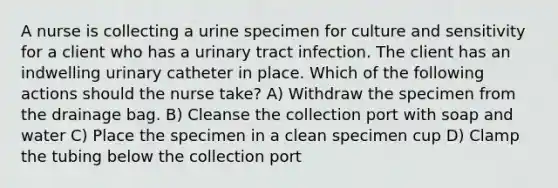 A nurse is collecting a urine specimen for culture and sensitivity for a client who has a urinary tract infection. The client has an indwelling urinary catheter in place. Which of the following actions should the nurse take? A) Withdraw the specimen from the drainage bag. B) Cleanse the collection port with soap and water C) Place the specimen in a clean specimen cup D) Clamp the tubing below the collection port