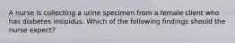 A nurse is collecting a urine specimen from a female client who has diabetes insipidus. Which of the following findings should the nurse expect?