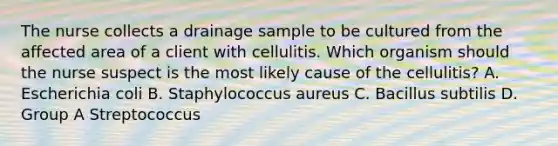 The nurse collects a drainage sample to be cultured from the affected area of a client with cellulitis. Which organism should the nurse suspect is the most likely cause of the cellulitis? A. Escherichia coli B. Staphylococcus aureus C. Bacillus subtilis D. Group A Streptococcus