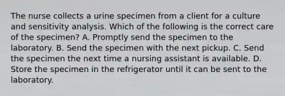 The nurse collects a urine specimen from a client for a culture and sensitivity analysis. Which of the following is the correct care of the specimen? A. Promptly send the specimen to the laboratory. B. Send the specimen with the next pickup. C. Send the specimen the next time a nursing assistant is available. D. Store the specimen in the refrigerator until it can be sent to the laboratory.