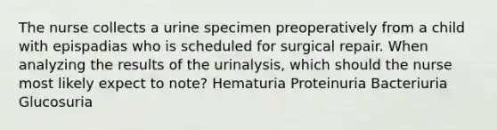 The nurse collects a urine specimen preoperatively from a child with epispadias who is scheduled for surgical repair. When analyzing the results of the urinalysis, which should the nurse most likely expect to note? Hematuria Proteinuria Bacteriuria Glucosuria