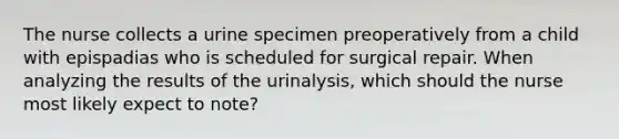 The nurse collects a urine specimen preoperatively from a child with epispadias who is scheduled for surgical repair. When analyzing the results of the urinalysis, which should the nurse most likely expect to note?