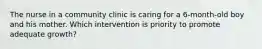 The nurse in a community clinic is caring for a 6-month-old boy and his mother. Which intervention is priority to promote adequate growth?