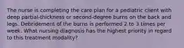 The nurse is completing the care plan for a pediatric client with deep partial-thickness or second-degree burns on the back and legs. Debridement of the burns is performed 2 to 3 times per week. What nursing diagnosis has the highest priority in regard to this treatment modality?