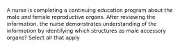 A nurse is completing a continuing education program about the male and female reproductive organs. After reviewing the information, the nurse demonstrates understanding of the information by identifying which structures as male accessory organs? Select all that apply