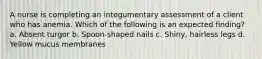 A nurse is completing an integumentary assessment of a client who has anemia. Which of the following is an expected finding? a. Absent turgor b. Spoon-shaped nails c. Shiny, hairless legs d. Yellow mucus membranes