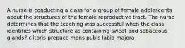 A nurse is conducting a class for a group of female adolescents about the structures of the female reproductive tract. The nurse determines that the teaching was successful when the class identifies which structure as containing sweat and sebaceous glands? clitoris prepuce mons pubis labia majora