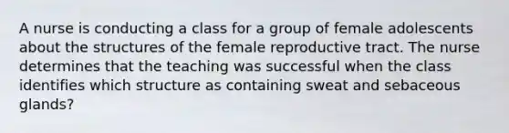 A nurse is conducting a class for a group of female adolescents about the structures of the female reproductive tract. The nurse determines that the teaching was successful when the class identifies which structure as containing sweat and sebaceous glands?