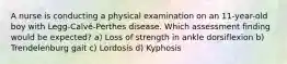 A nurse is conducting a physical examination on an 11-year-old boy with Legg-Calvé-Perthes disease. Which assessment finding would be expected? a) Loss of strength in ankle dorsiflexion b) Trendelenburg gait c) Lordosis d) Kyphosis