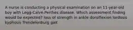 A nurse is conducting a physical examination on an 11-year-old boy with Legg-Calvé-Perthes disease. Which assessment finding would be expected? loss of strength in ankle dorsiflexion lordosis kyphosis Trendelenburg gait