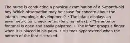 The nurse is conducting a physical examination of a 5-month-old boy. Which observation may be cause for concern about the infant's neurologic development? • The infant displays an asymmetric tonic neck reflex (fencing reflex). • The anterior fontanel is open and easily palpated. • The infant grasps a finger when it is placed in his palm. • His toes hyperextend when the bottom of the foot is stroked.