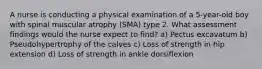 A nurse is conducting a physical examination of a 5-year-old boy with spinal muscular atrophy (SMA) type 2. What assessment findings would the nurse expect to find? a) Pectus excavatum b) Pseudohypertrophy of the calves c) Loss of strength in hip extension d) Loss of strength in ankle dorsiflexion