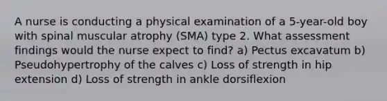 A nurse is conducting a physical examination of a 5-year-old boy with spinal muscular atrophy (SMA) type 2. What assessment findings would the nurse expect to find? a) Pectus excavatum b) Pseudohypertrophy of the calves c) Loss of strength in hip extension d) Loss of strength in ankle dorsiflexion