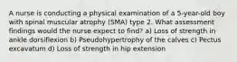 A nurse is conducting a physical examination of a 5-year-old boy with spinal muscular atrophy (SMA) type 2. What assessment findings would the nurse expect to find? a) Loss of strength in ankle dorsiflexion b) Pseudohypertrophy of the calves c) Pectus excavatum d) Loss of strength in hip extension