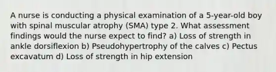 A nurse is conducting a physical examination of a 5-year-old boy with spinal muscular atrophy (SMA) type 2. What assessment findings would the nurse expect to find? a) Loss of strength in ankle dorsiflexion b) Pseudohypertrophy of the calves c) Pectus excavatum d) Loss of strength in hip extension